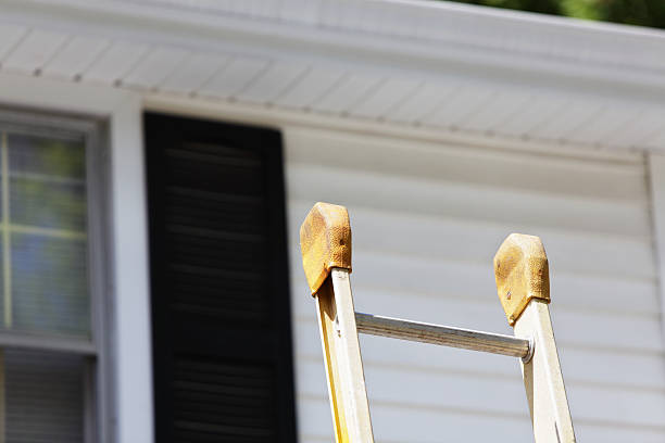 Shed Removal in Verona, KY